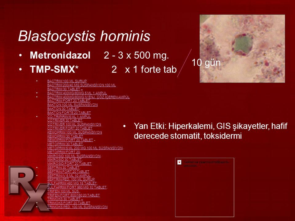 blastocystis hominis paraziti nedir