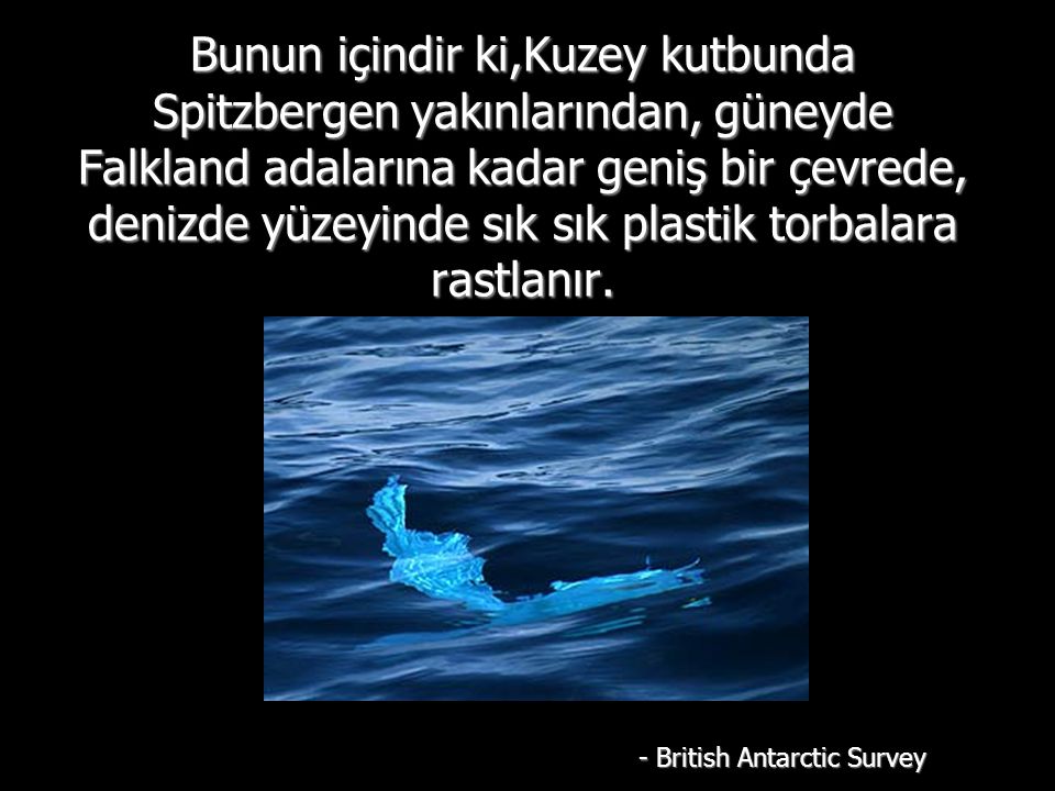 - British Antarctic Survey