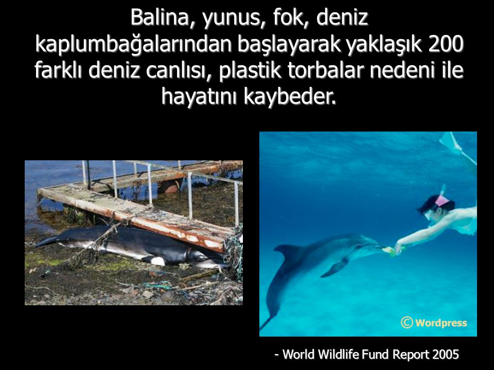 - World Wildlife Fund Report 2005