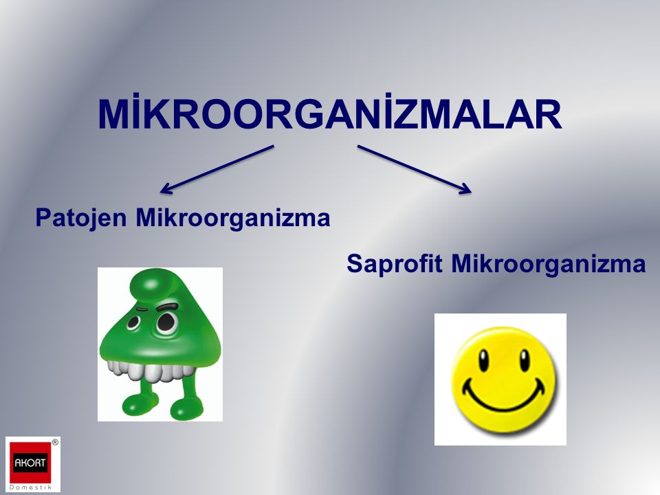 MİKROORGANİZMALAR Patojen Mikroorganizma Saprofit Mikroorganizma