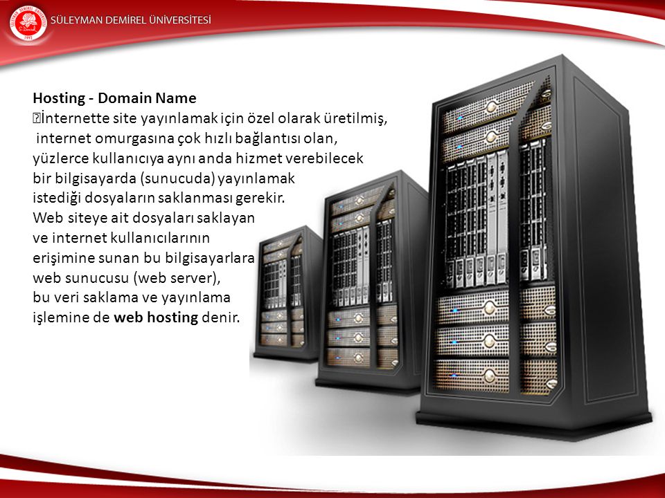 Hosting - Domain Name İnternette site yayınlamak için özel olarak üretilmiş, internet omurgasına çok hızlı bağlantısı olan,