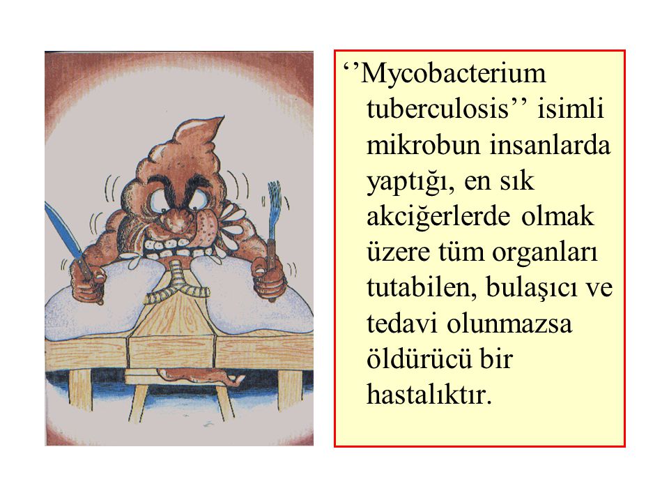 ‘’Mycobacterium tuberculosis’’ isimli mikrobun insanlarda yaptığı, en sık akciğerlerde olmak üzere tüm organları tutabilen, bulaşıcı ve tedavi olunmazsa öldürücü bir hastalıktır.