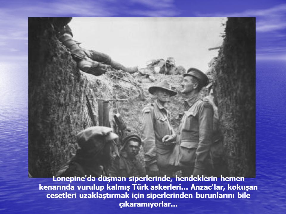 Lonepine da düşman siperlerinde, hendeklerin hemen kenarında vurulup kalmış Türk askerleri...