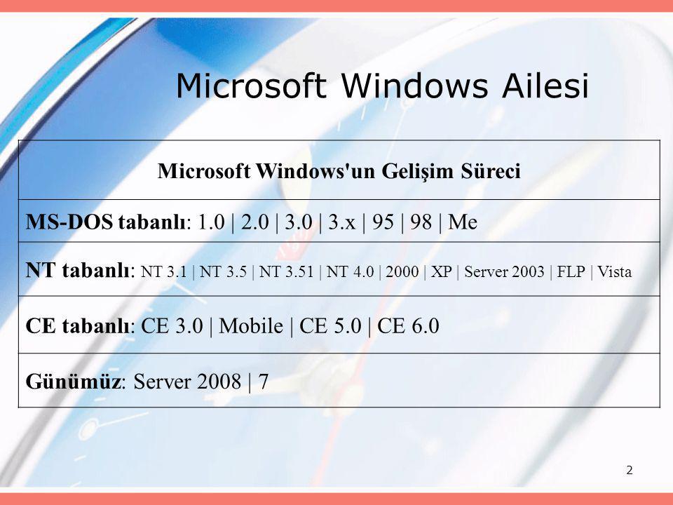 Microsoft Windows Ailesi