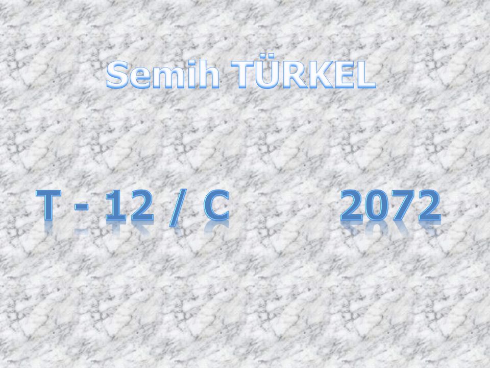 Semih TÜRKEL T - 12 / C 2072