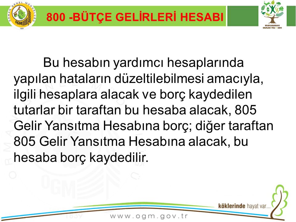 800 -BÜTÇE GELİRLERİ HESABI