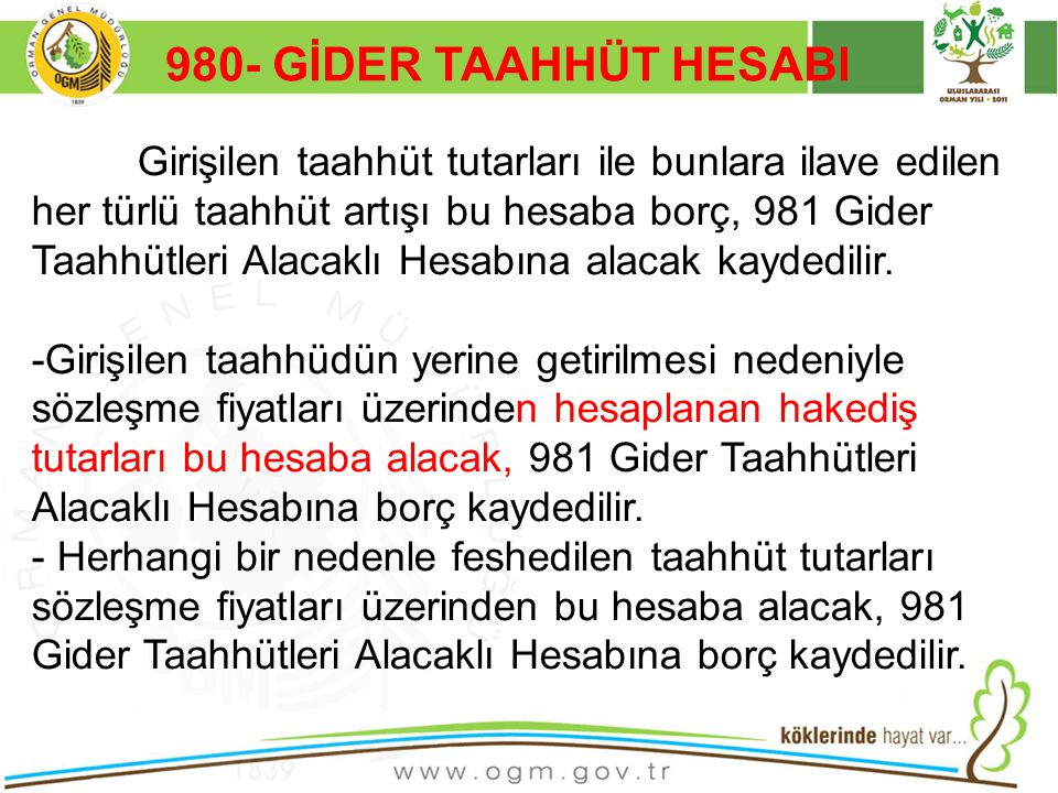 980- GİDER TAAHHÜT HESABI Kurumsal Kimlik. 16/12/2010.