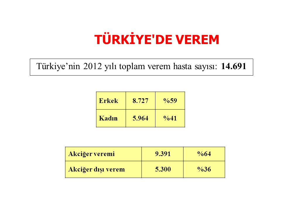 Türkiye’nin 2012 yılı toplam verem hasta sayısı: