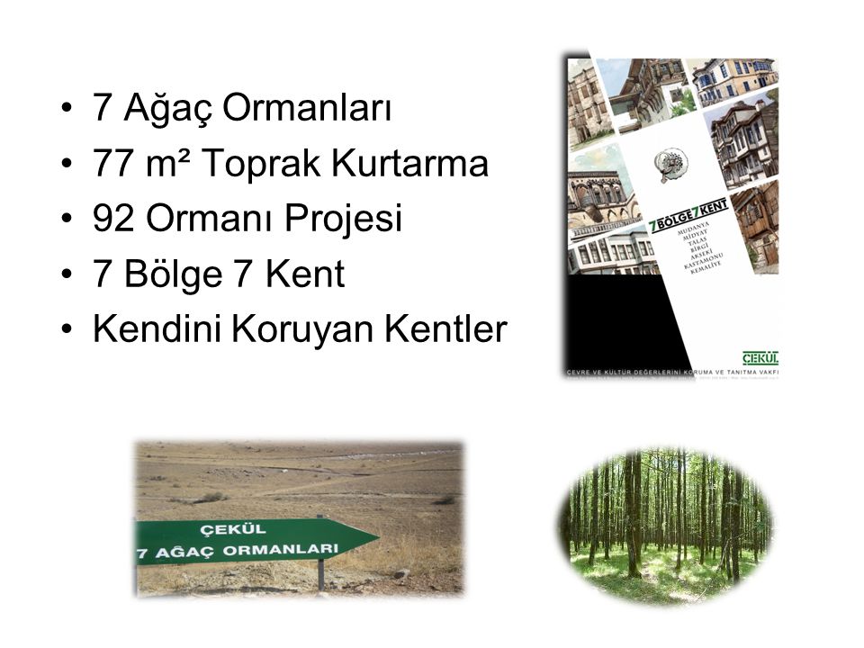 7 Ağaç Ormanları 77 m² Toprak Kurtarma 92 Ormanı Projesi 7 Bölge 7 Kent Kendini Koruyan Kentler