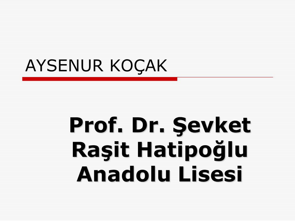 Prof. Dr. Şevket Raşit Hatipoğlu Anadolu Lisesi