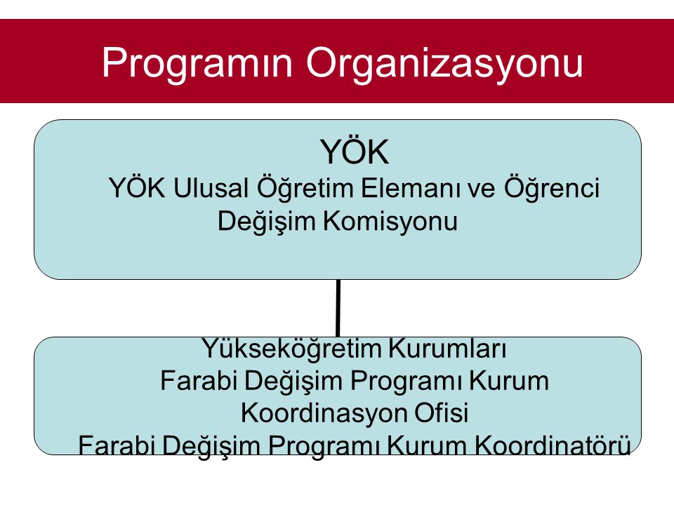Programın Organizasyonu