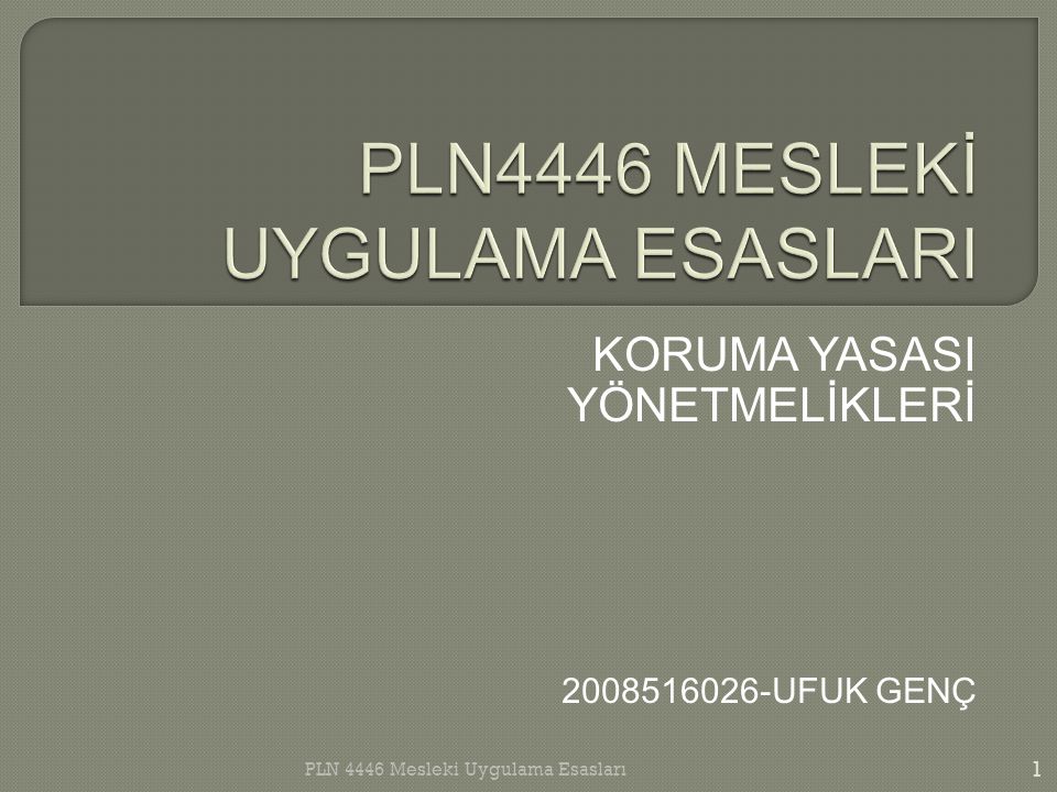 PLN4446 MESLEKİ UYGULAMA ESASLARI