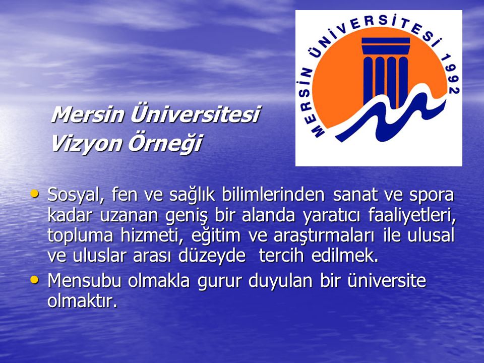 Mersin Üniversitesi Vizyon Örneği