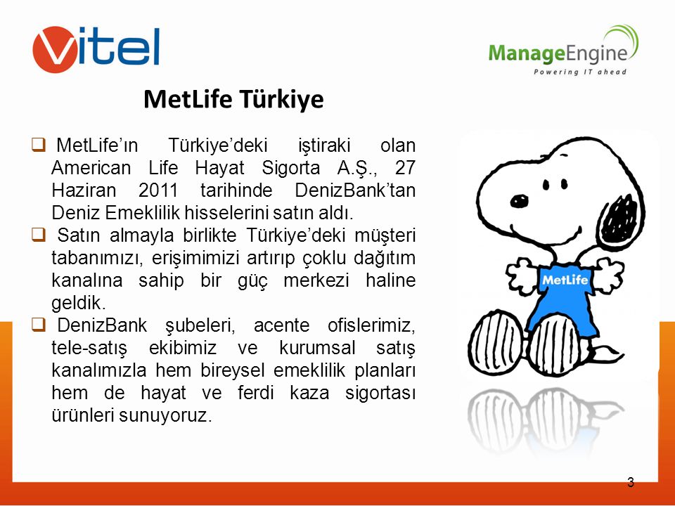 MetLife Türkiye