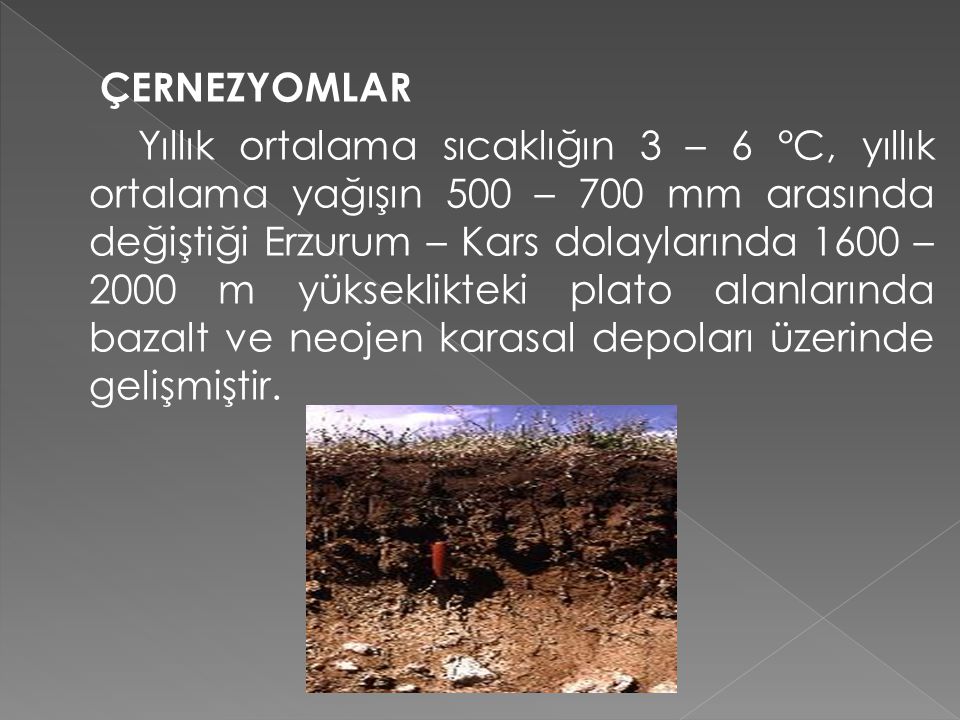 ÇERNEZYOMLAR Yıllık ortalama sıcaklığın 3 – 6 °C, yıllık ortalama yağışın 500 – 700 mm arasında değiştiği Erzurum – Kars dolaylarında 1600 – 2000 m yükseklikteki plato alanlarında bazalt ve neojen karasal depoları üzerinde gelişmiştir.
