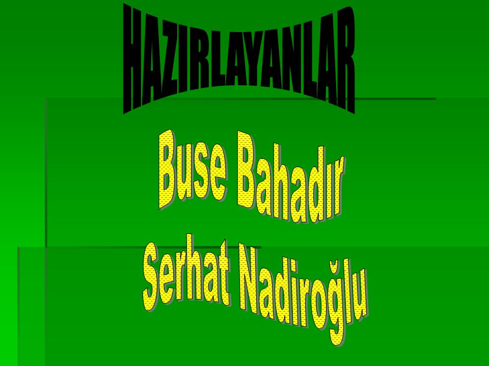 HAZIRLAYANLAR Buse Bahadır Serhat Nadiroğlu