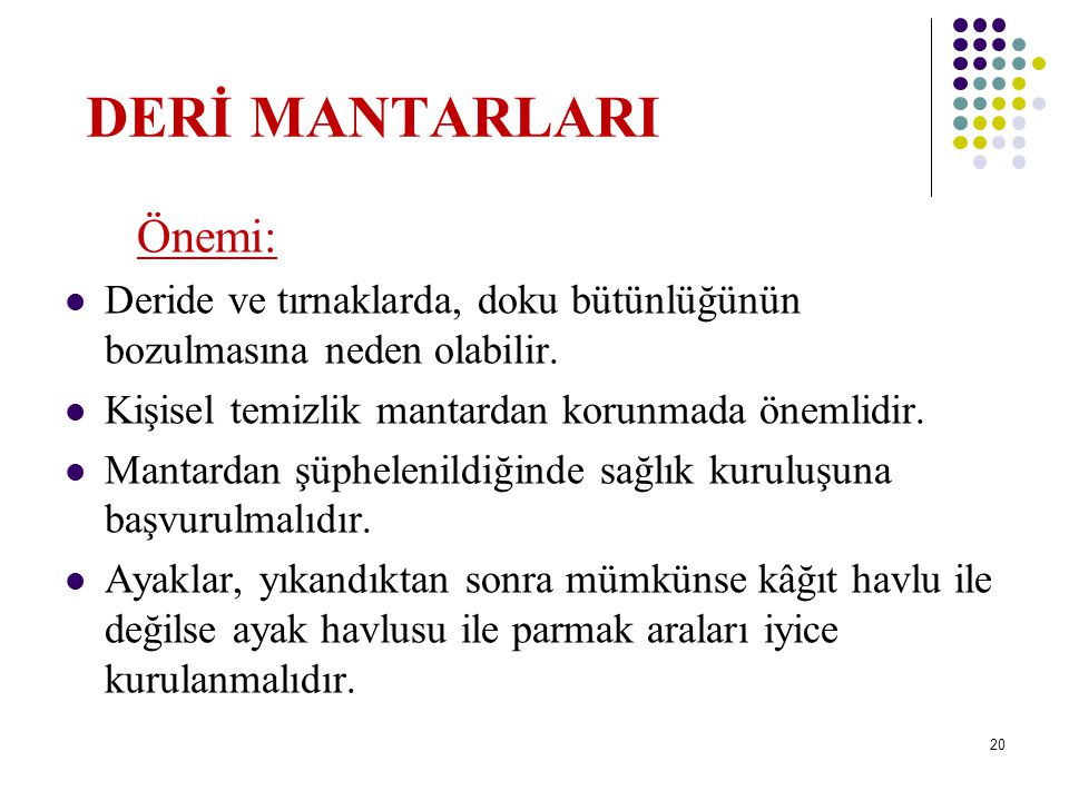 DERİ MANTARLARI Önemi:
