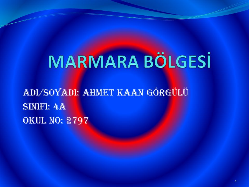AdI/SoyadI: Ahmet Kaan GÖRGÜLÜ SINIFI: 4A Okul No: 2797