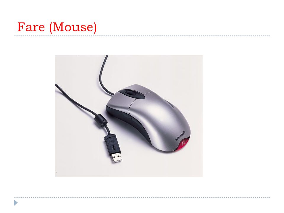 Fare (Mouse)