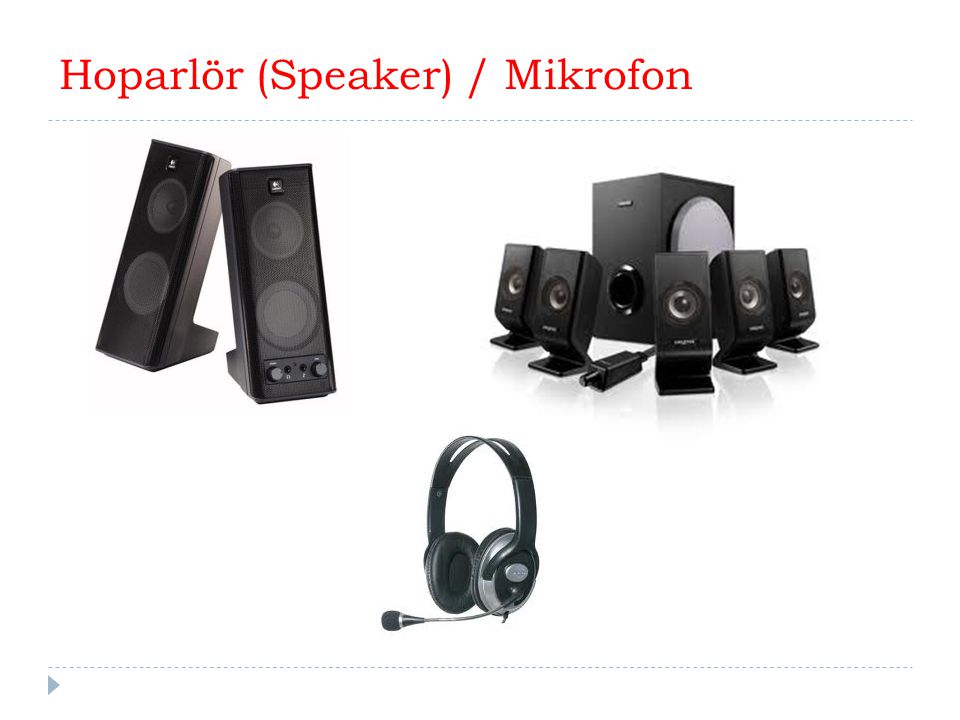 Hoparlör (Speaker) / Mikrofon