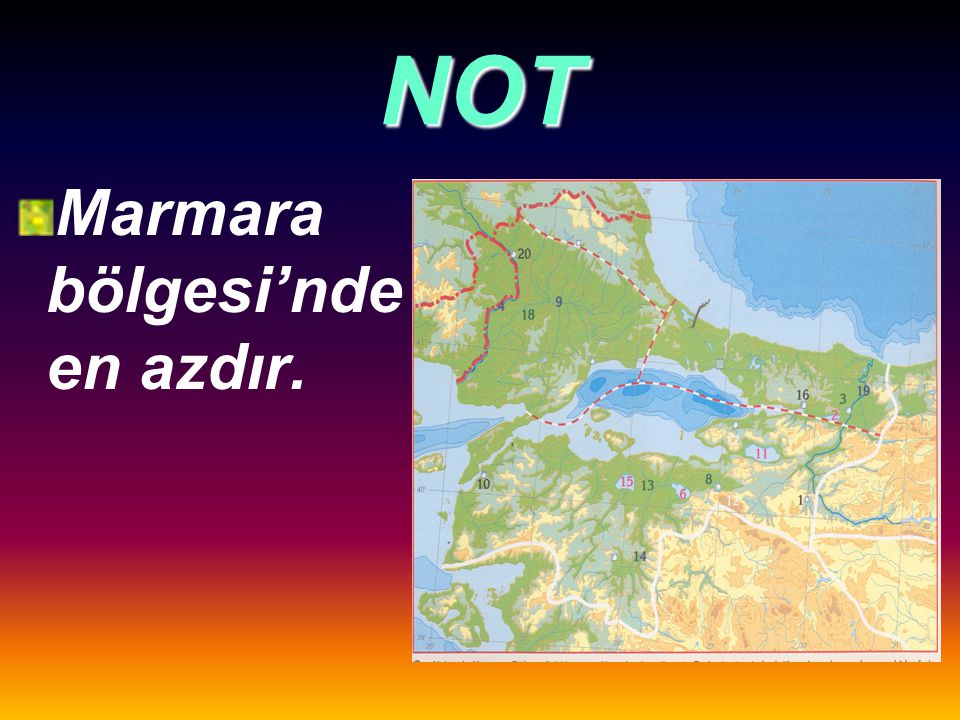 NOT Marmara bölgesi’nde en azdır.