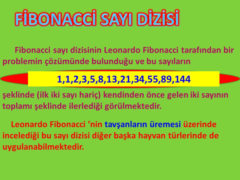 FİBONACCİ SAYI DİZİSİ Fibonacci sayı dizisinin Leonardo Fibonacci tarafından bir problemin çözümünde bulunduğu ve bu sayıların.