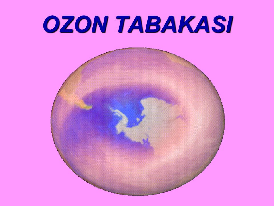 OZON TABAKASI