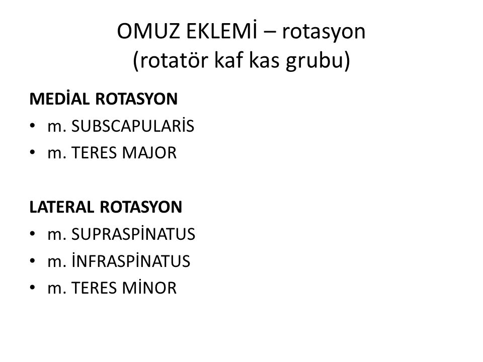 OMUZ EKLEMİ – rotasyon (rotatör kaf kas grubu)