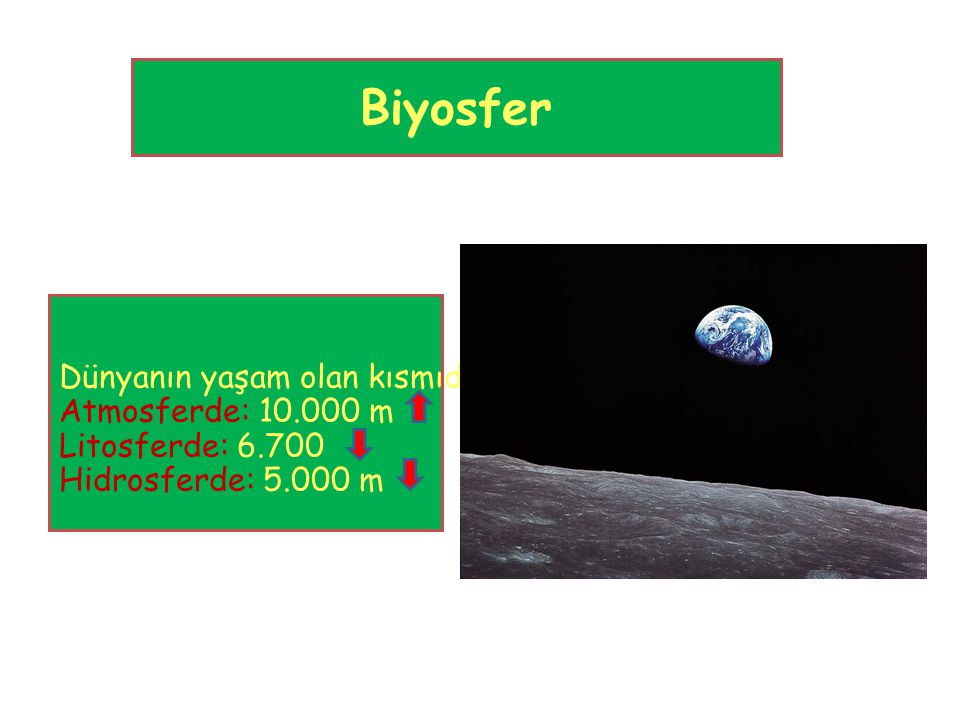 Biyosfer Dünyanın yaşam olan kısmıdır. Atmosferde: m