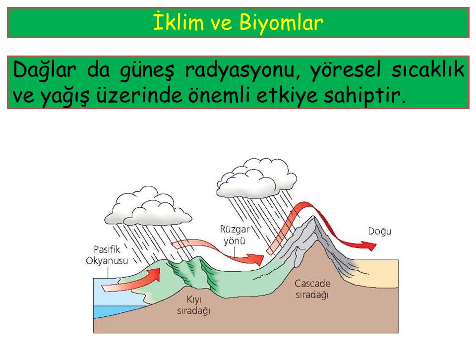 İklim ve Biyomlar Dağlar da güneş radyasyonu, yöresel sıcaklık ve yağış üzerinde önemli etkiye sahiptir.