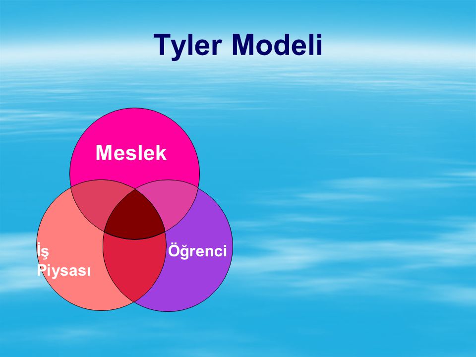 Tyler Modeli Meslek İş Piysası Öğrenci