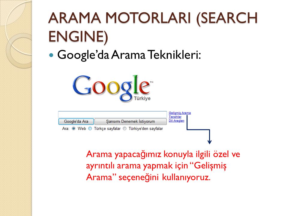 ARAMA MOTORLARI (SEARCH ENGINE)