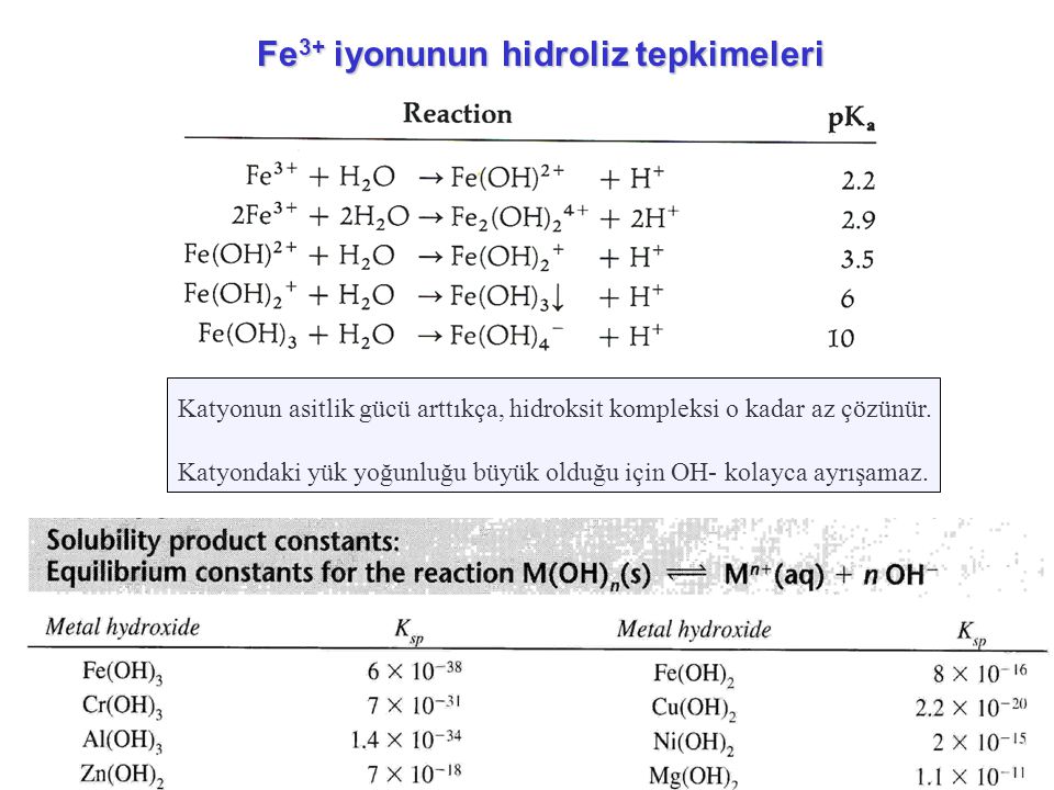 Fe3+ iyonunun hidroliz tepkimeleri
