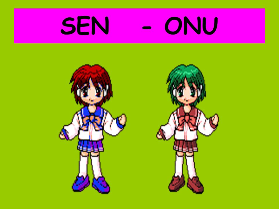 SEN - ONU
