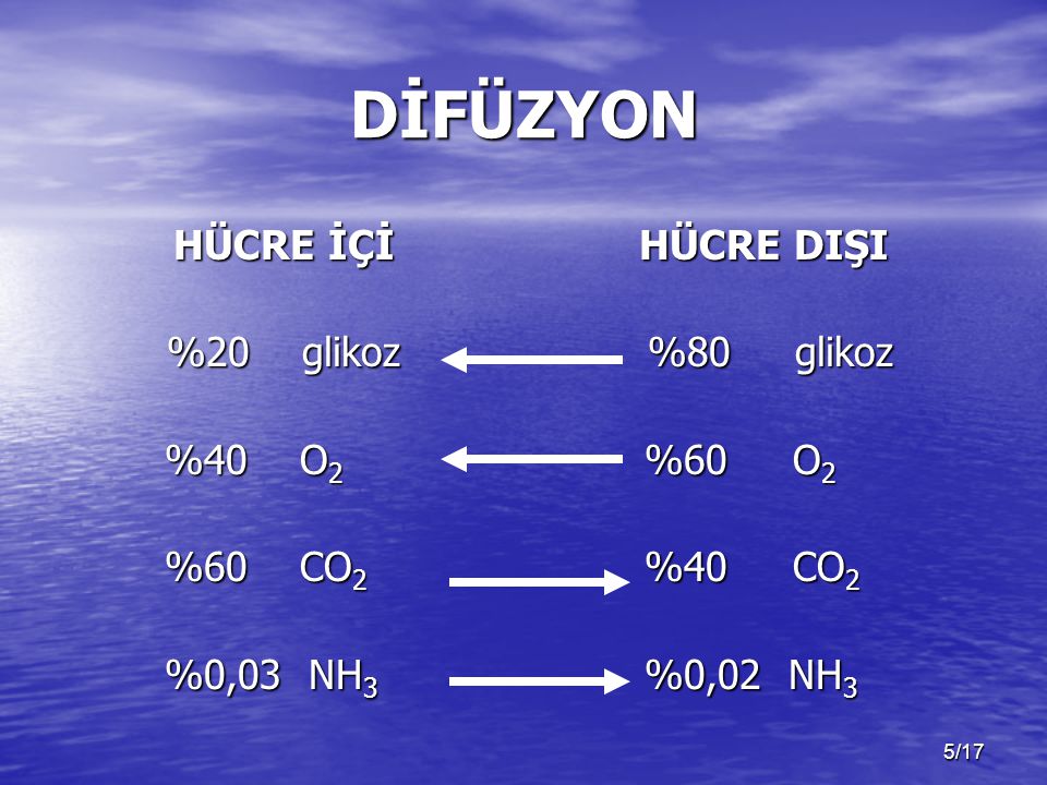 DİFÜZYON HÜCRE İÇİ %20 glikoz %40 O2 %60 CO2 %0,03 NH3 HÜCRE DIŞI