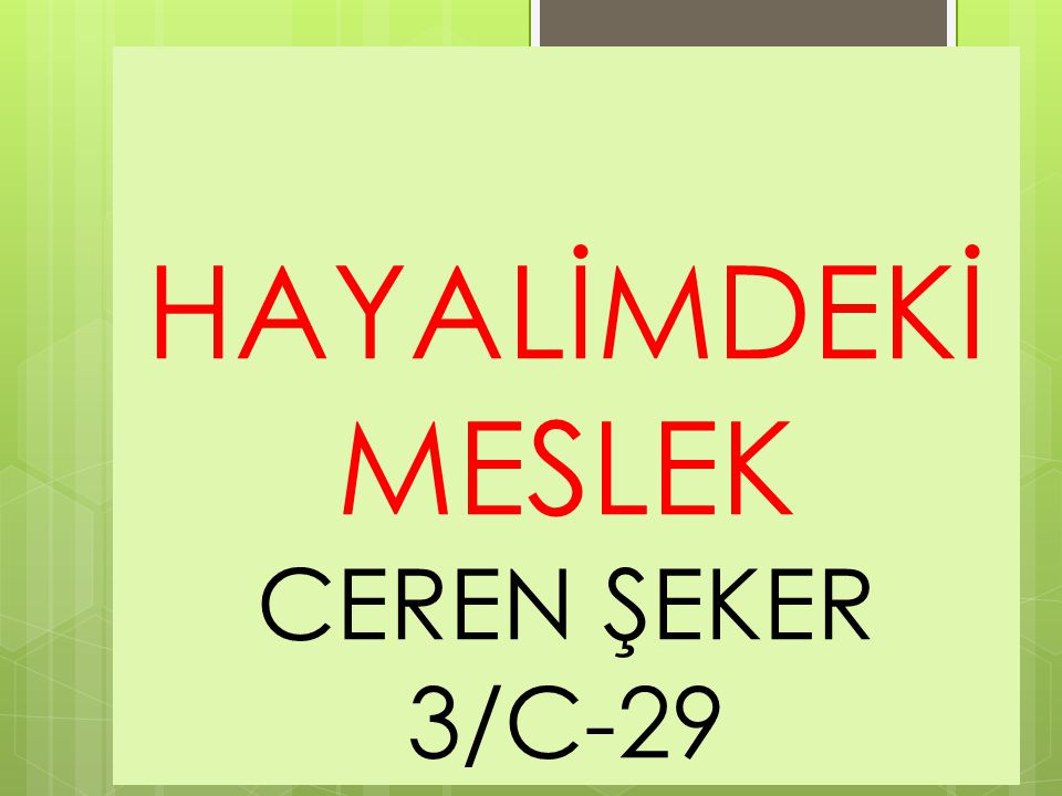 HAYALİMDEKİ MESLEK CEREN ŞEKER 3/C-29