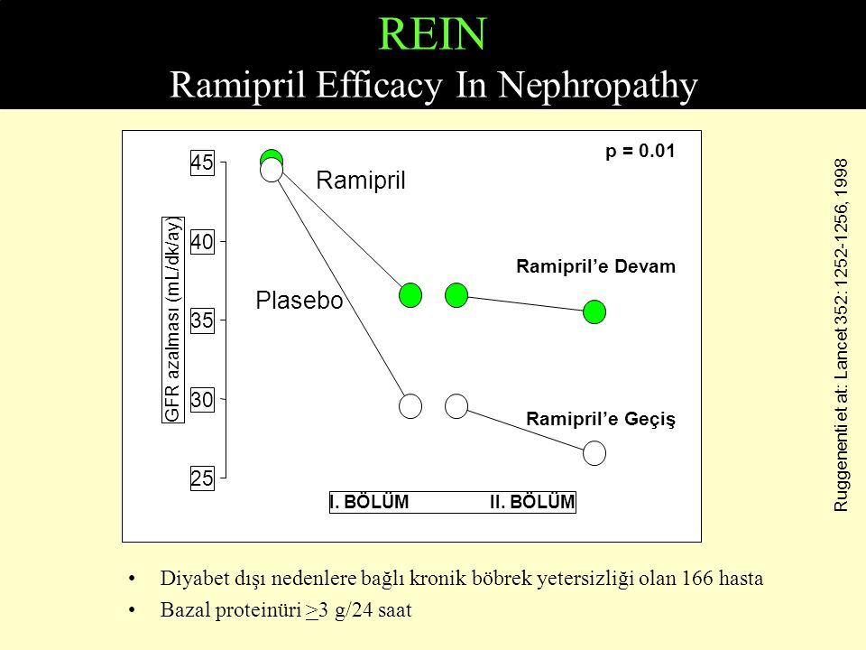 REIN Ramipril Efficacy In Nephropathy