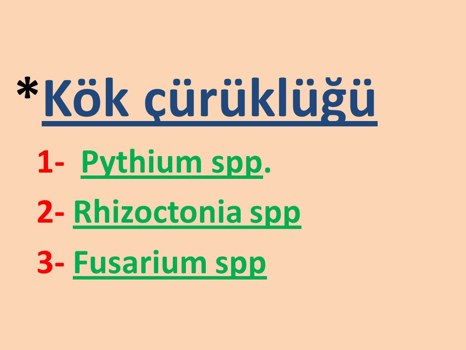 *Kök çürüklüğü 1- Pythium spp. 2- Rhizoctonia spp 3- Fusarium spp