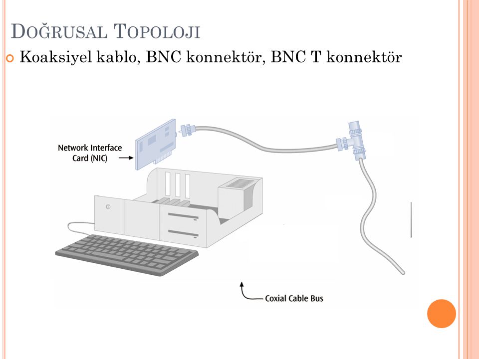 Doğrusal Topoloji Koaksiyel kablo, BNC konnektör, BNC T konnektör