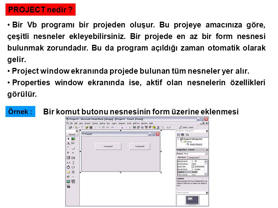 Project window ekranında projede bulunan tüm nesneler yer alır.