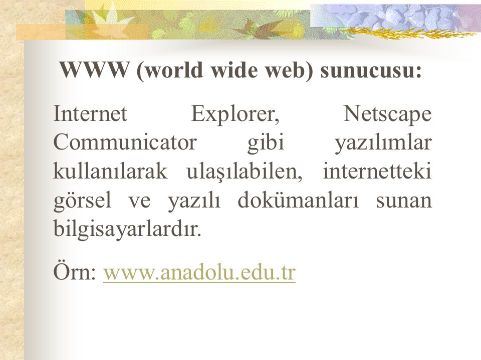 WWW (world wide web) sunucusu: