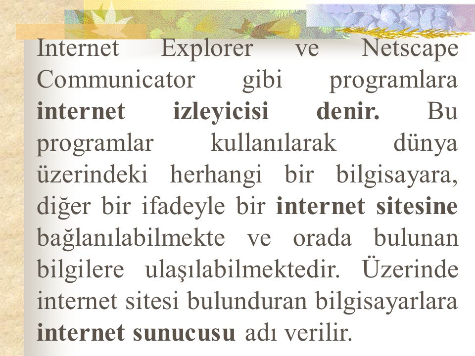 Internet Explorer ve Netscape Communicator gibi programlara internet izleyicisi denir.