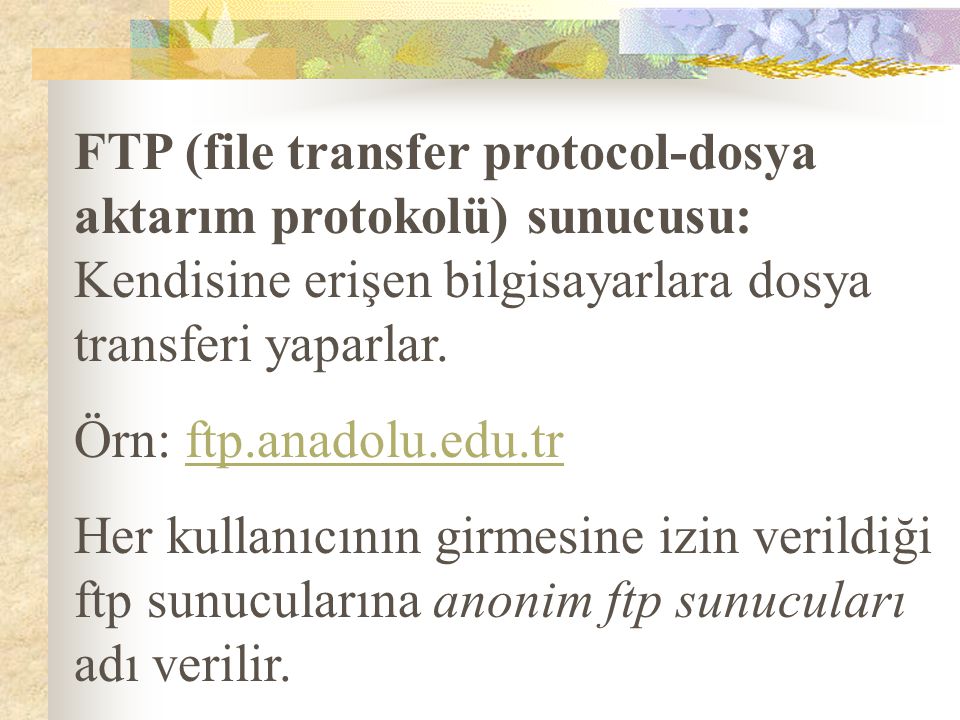 FTP (file transfer protocol-dosya aktarım protokolü) sunucusu: Kendisine erişen bilgisayarlara dosya transferi yaparlar.