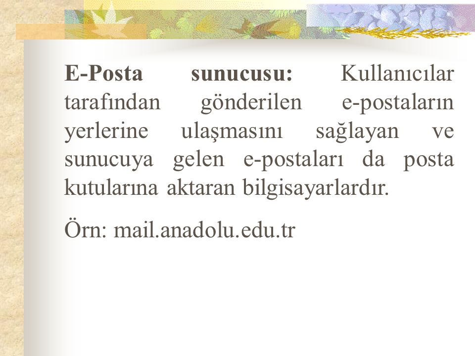 E-Posta sunucusu: Kullanıcılar tarafından gönderilen e-postaların yerlerine ulaşmasını sağlayan ve sunucuya gelen e-postaları da posta kutularına aktaran bilgisayarlardır.