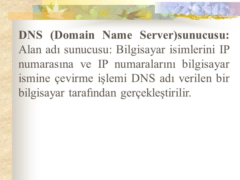 DNS (Domain Name Server)sunucusu: Alan adı sunucusu: Bilgisayar isimlerini IP numarasına ve IP numaralarını bilgisayar ismine çevirme işlemi DNS adı verilen bir bilgisayar tarafından gerçekleştirilir.