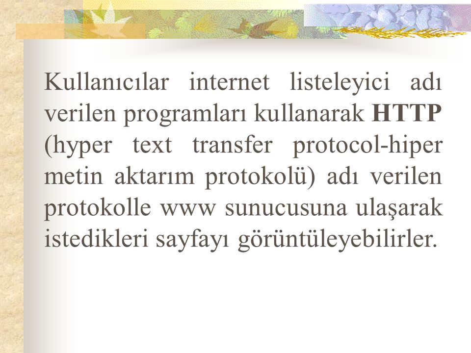 Kullanıcılar internet listeleyici adı verilen programları kullanarak HTTP (hyper text transfer protocol-hiper metin aktarım protokolü) adı verilen protokolle www sunucusuna ulaşarak istedikleri sayfayı görüntüleyebilirler.