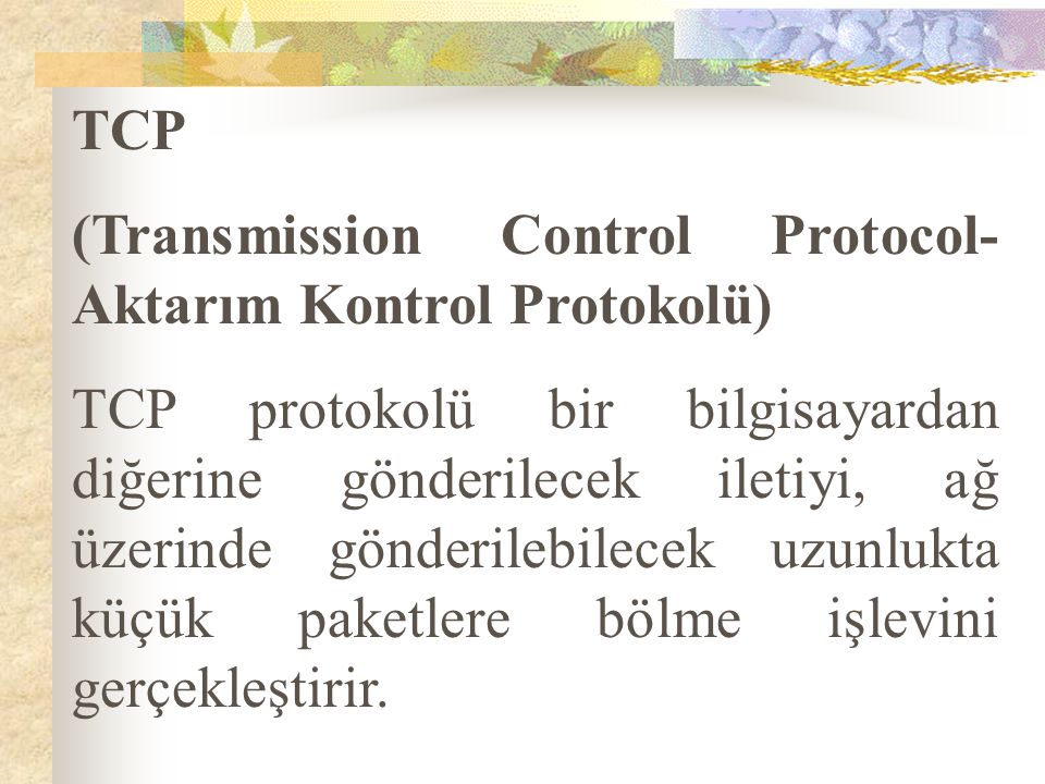 TCP (Transmission Control Protocol- Aktarım Kontrol Protokolü)