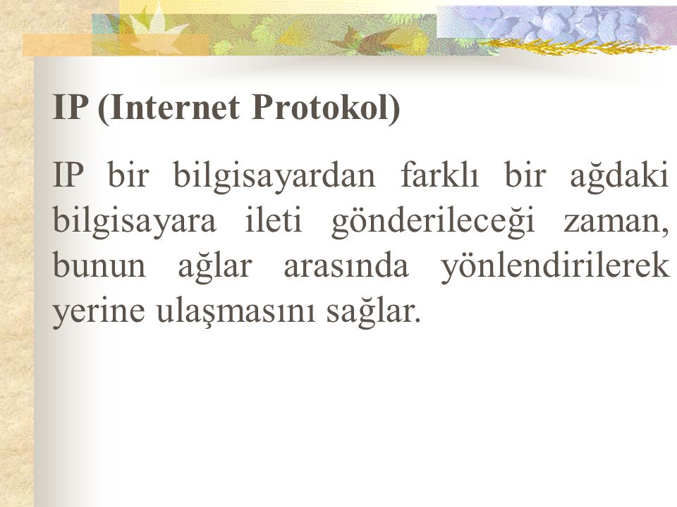 IP (Internet Protokol)