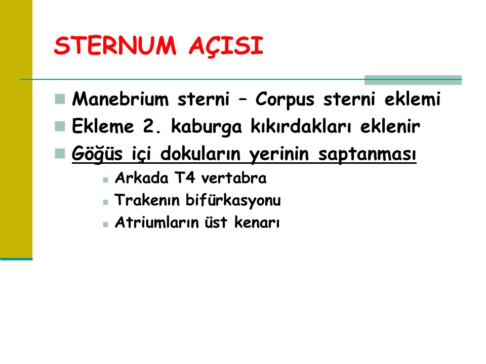 STERNUM AÇISI Manebrium sterni – Corpus sterni eklemi