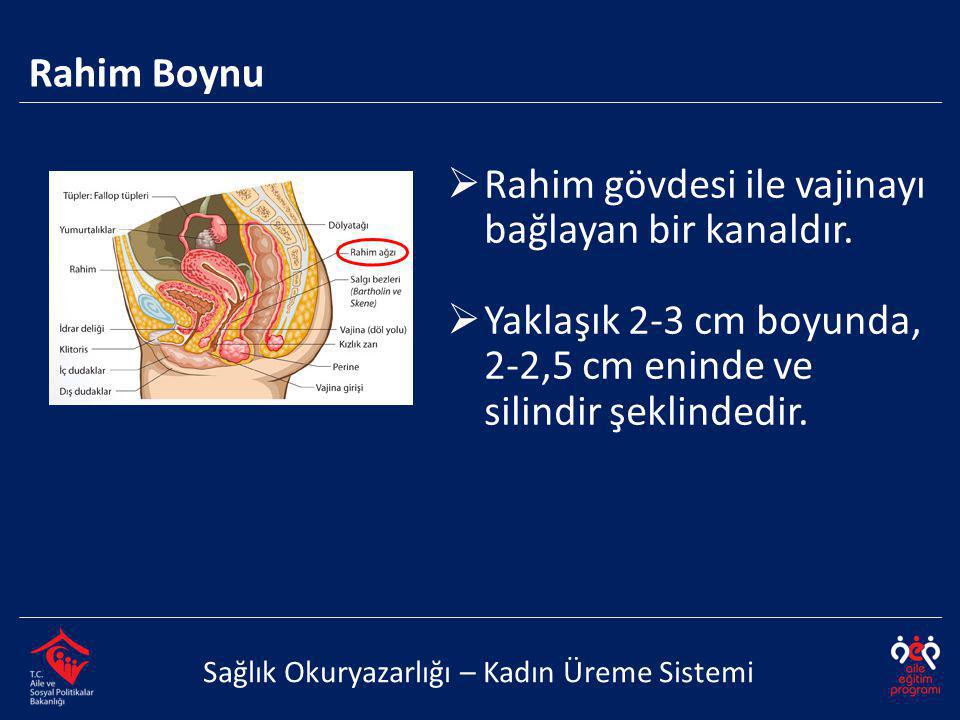 Kızlık Zarı Bozma